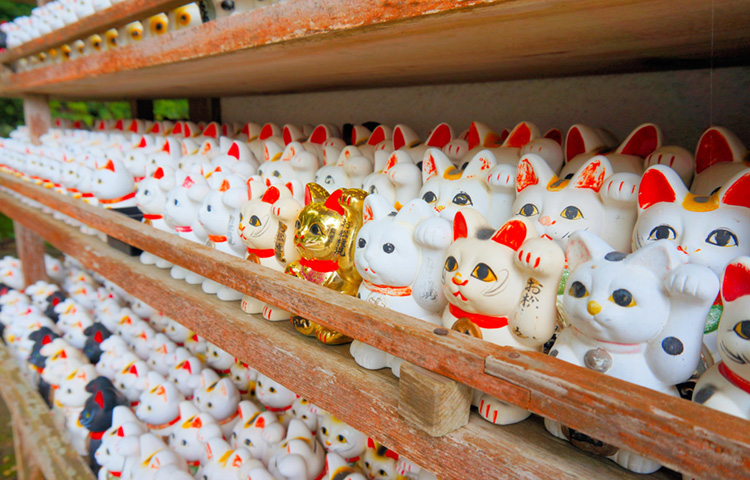 徳島のパワースポット神社5選！開運・厄除けに人気の場所を紹介