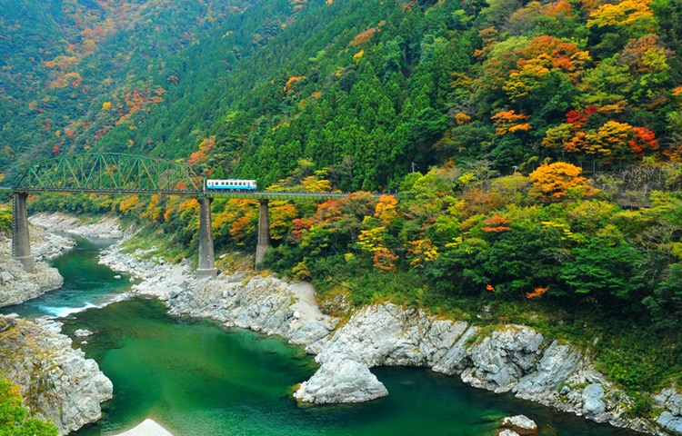 大歩危・小歩危周辺の渓谷道（三好市）