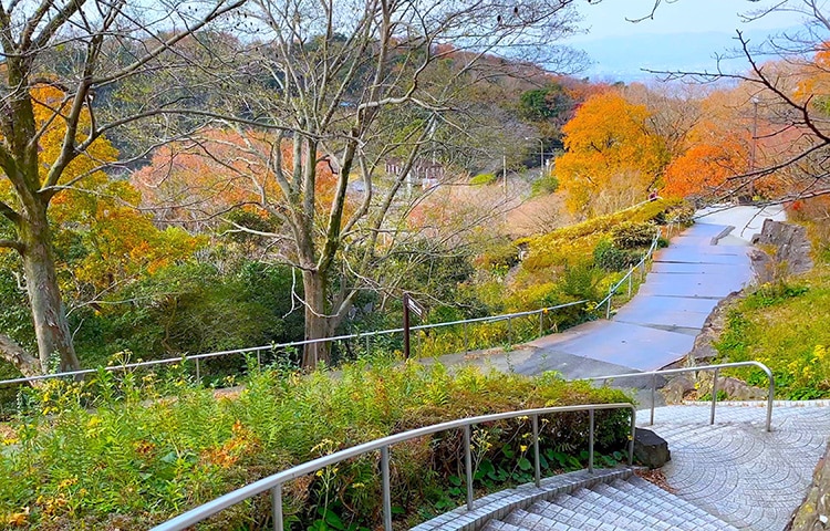 眉山公園（徳島市）