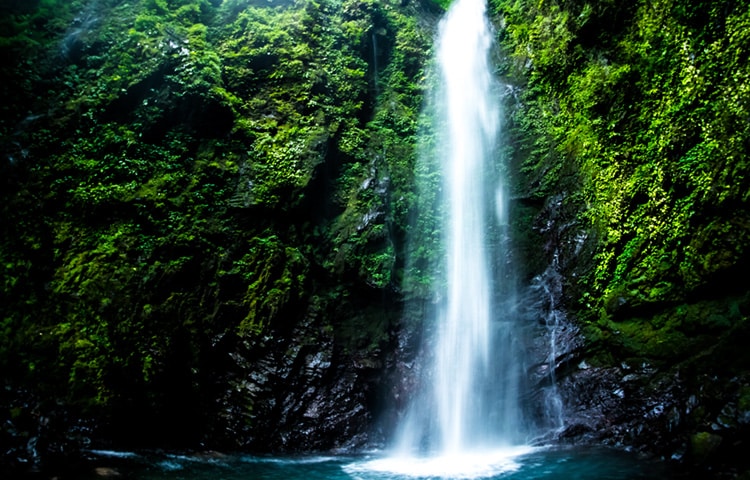 神通の滝（神山町）