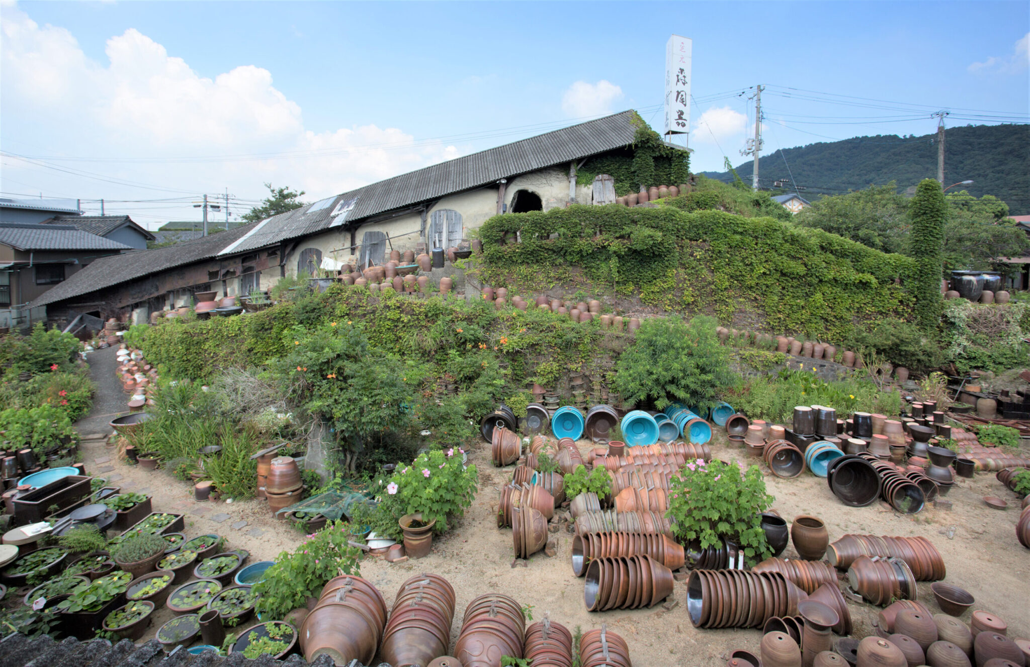 森陶器_外観-scaled.jpg